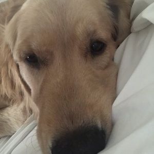 Meet your Posher, Maite